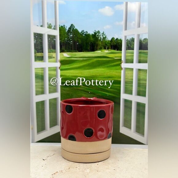 Miss Ladybug Red/Black Ceramic Planter Pot with Saucer Attached - Picture 6 of 11